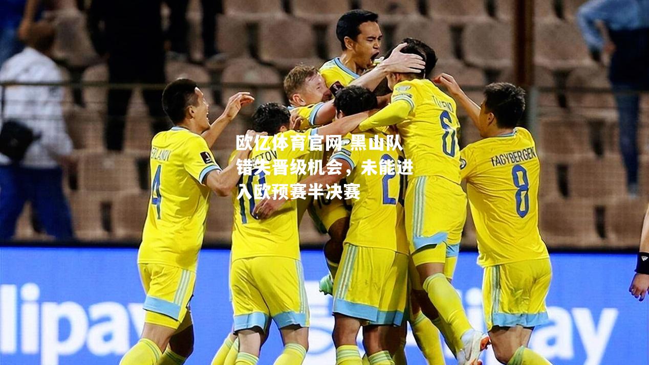 黑山队错失晋级机会，未能进入欧预赛半决赛