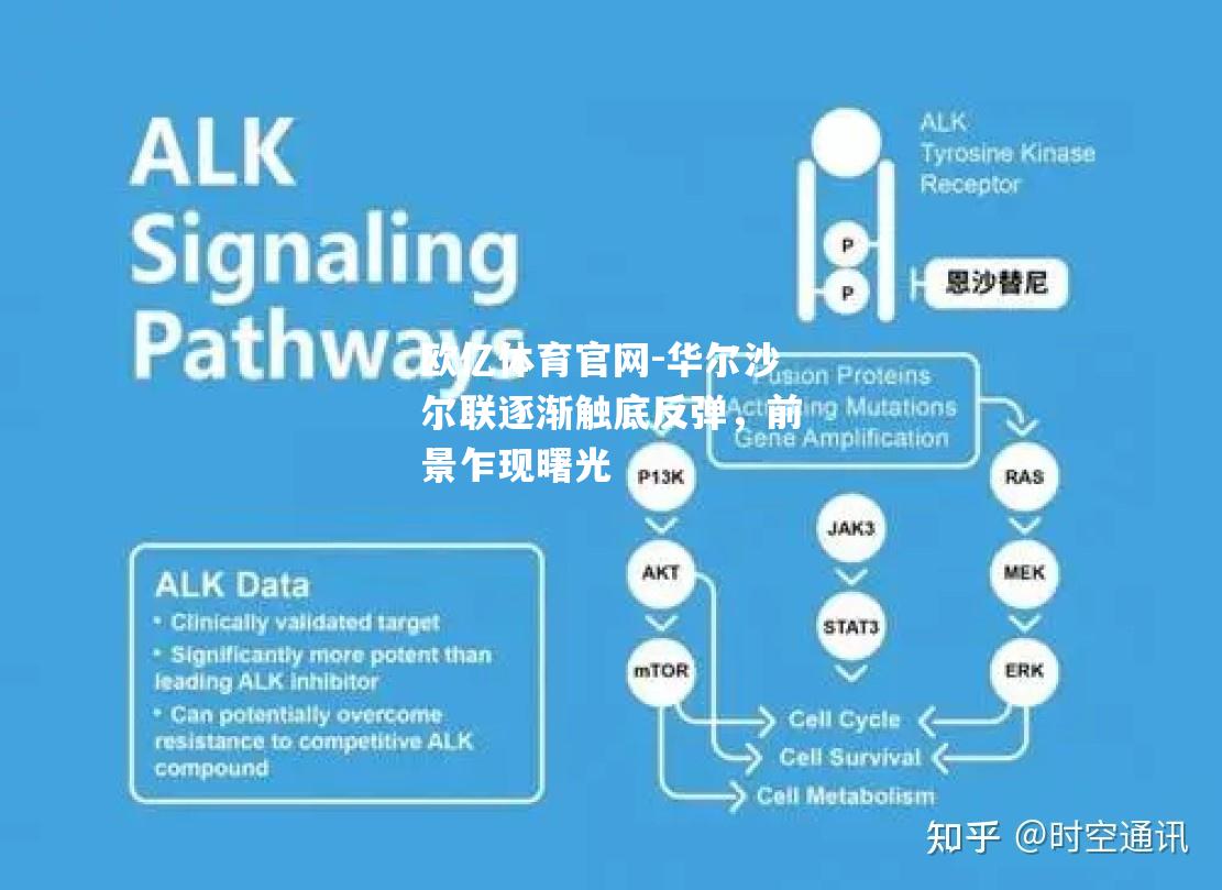 华尔沙尔联逐渐触底反弹，前景乍现曙光
