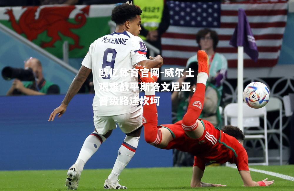 威尔士艰难战平斯洛文尼亚，晋级路途坎坷