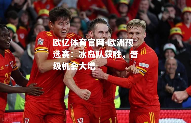 欧洲预选赛：冰岛队获胜，晋级机会大增