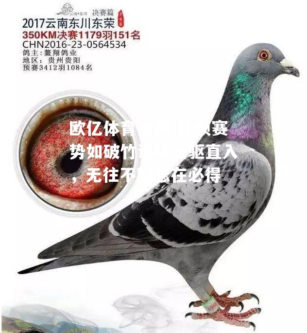 欧预赛势如破竹谁能长驱直入，无往不胜志在必得
